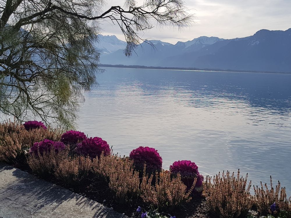 Photograph by Галина Левина