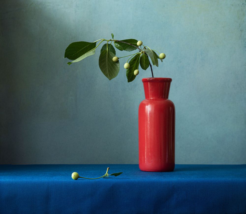 Дикая вишня