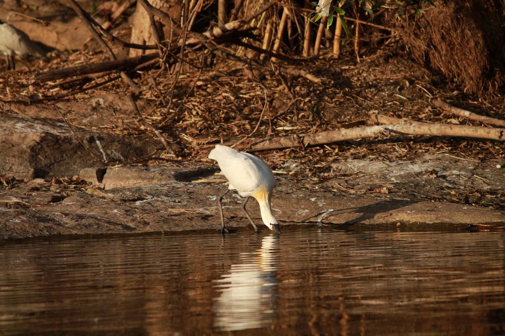 Photograph by Pradyumna K P