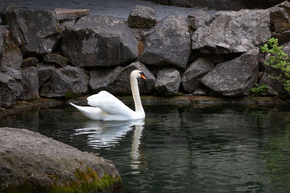 Photograph by Светлана Верзилина