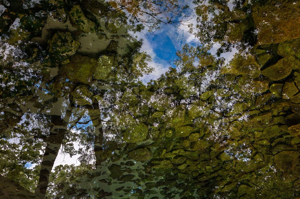 Photograph by Светлана Верзилина