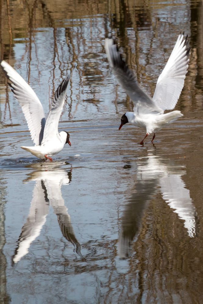 Photograph by Светлана Верзилина