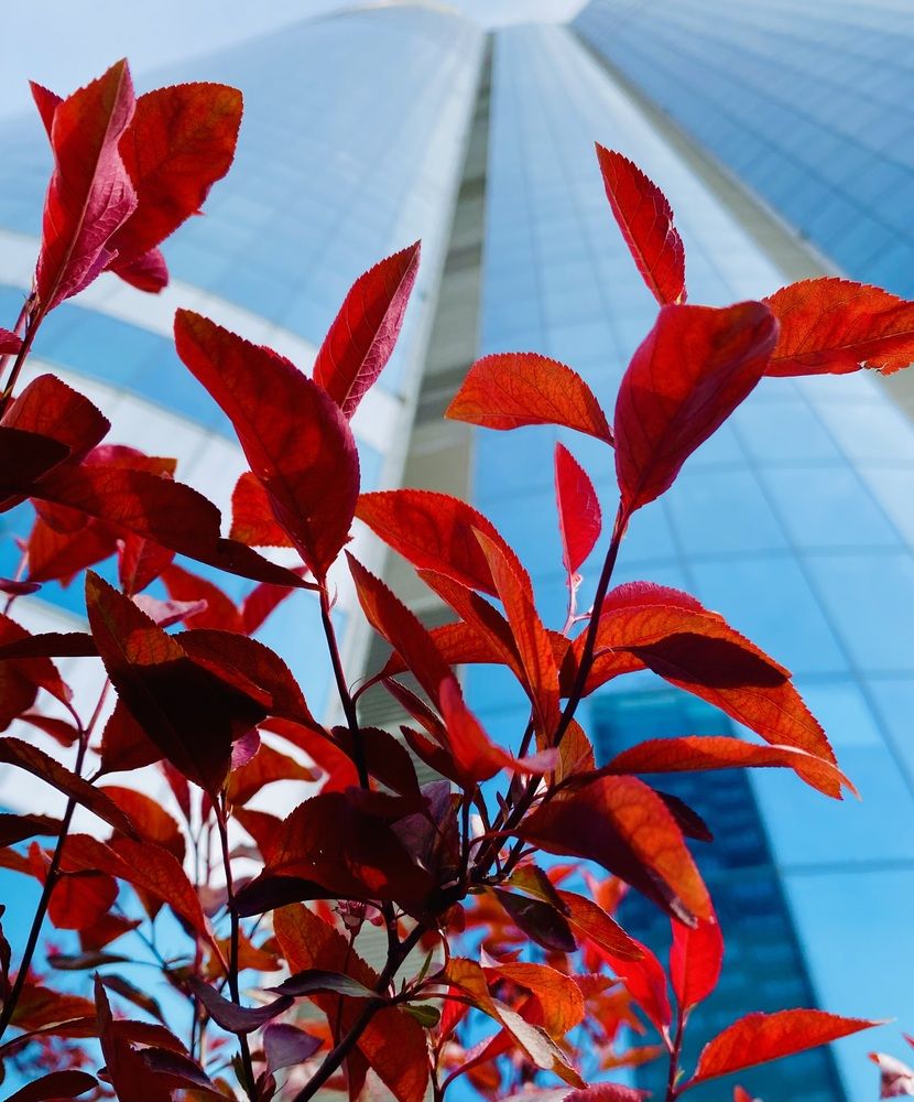 Photograph by Наталья Тарабычина