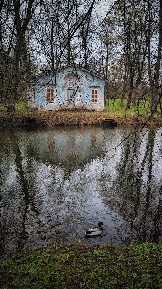 Photograph by Ирина Багдасарова