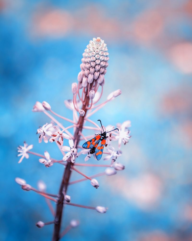 Photograph by Марина Ческис