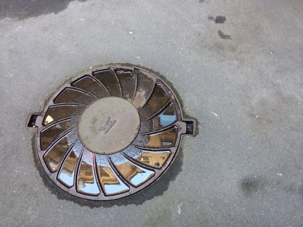 Photograph by Людмила Ковалева