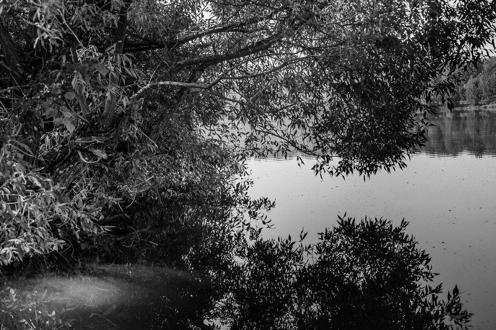 Photograph by Наталия Викторовна