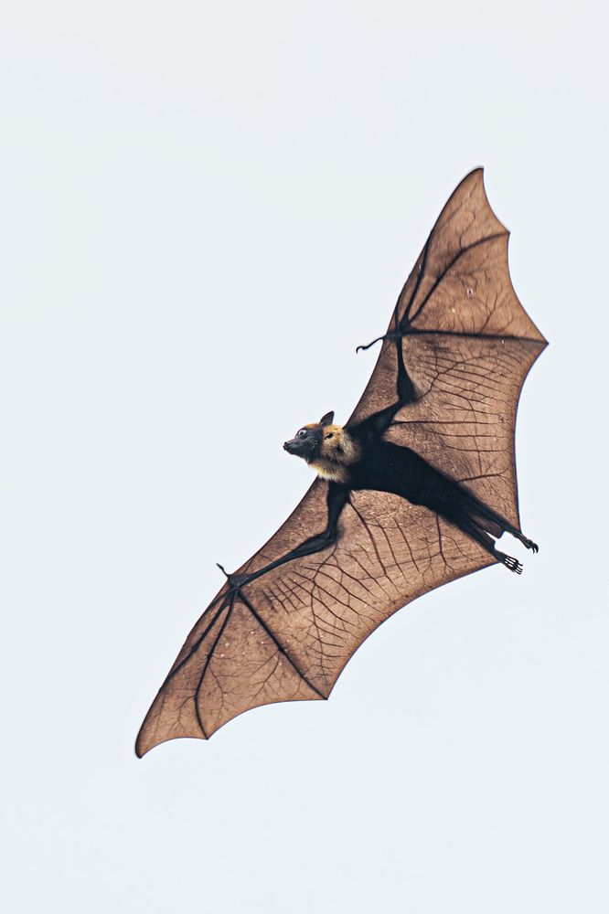 Photograph by Светлана Зимина