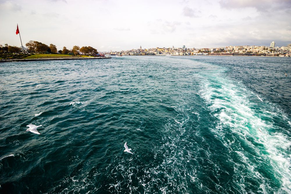 Photograph by Роман Якута