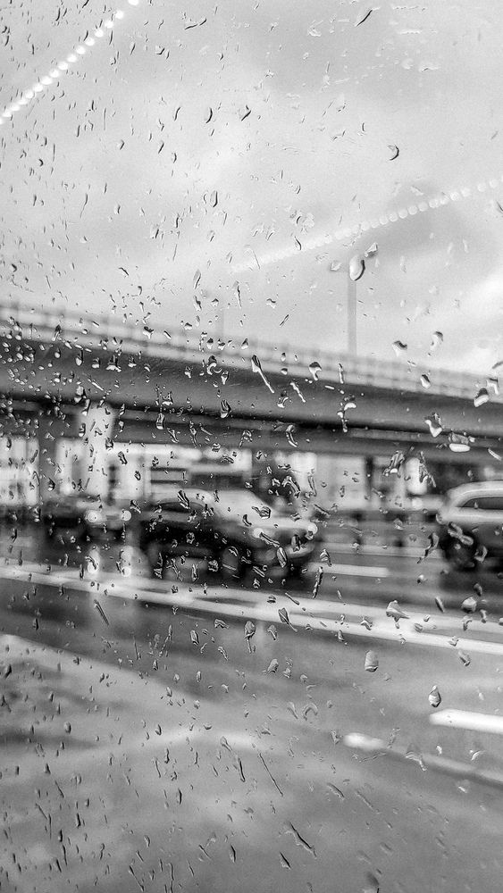 Photograph by Дарья