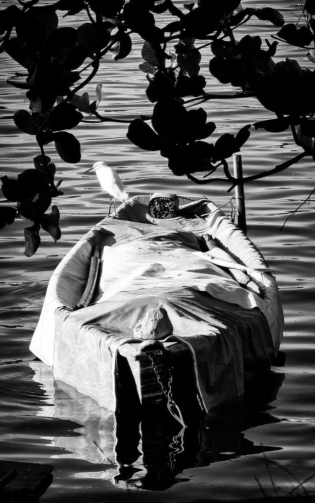 Photograph by Gr Marie