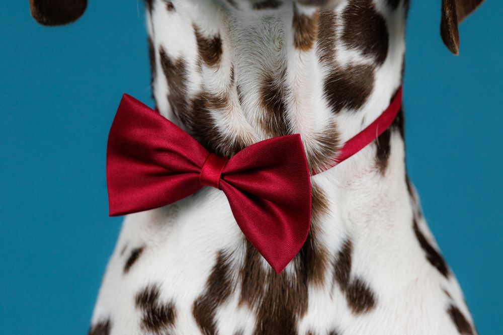 Photograph by Яна Нарбутович