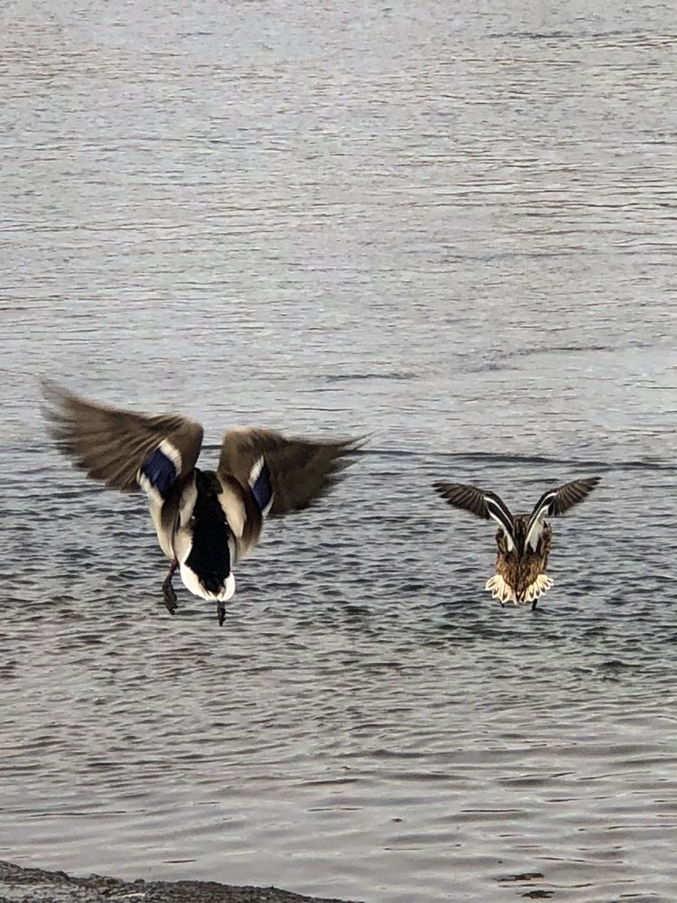 Фотография автора Светлана Гончарова
