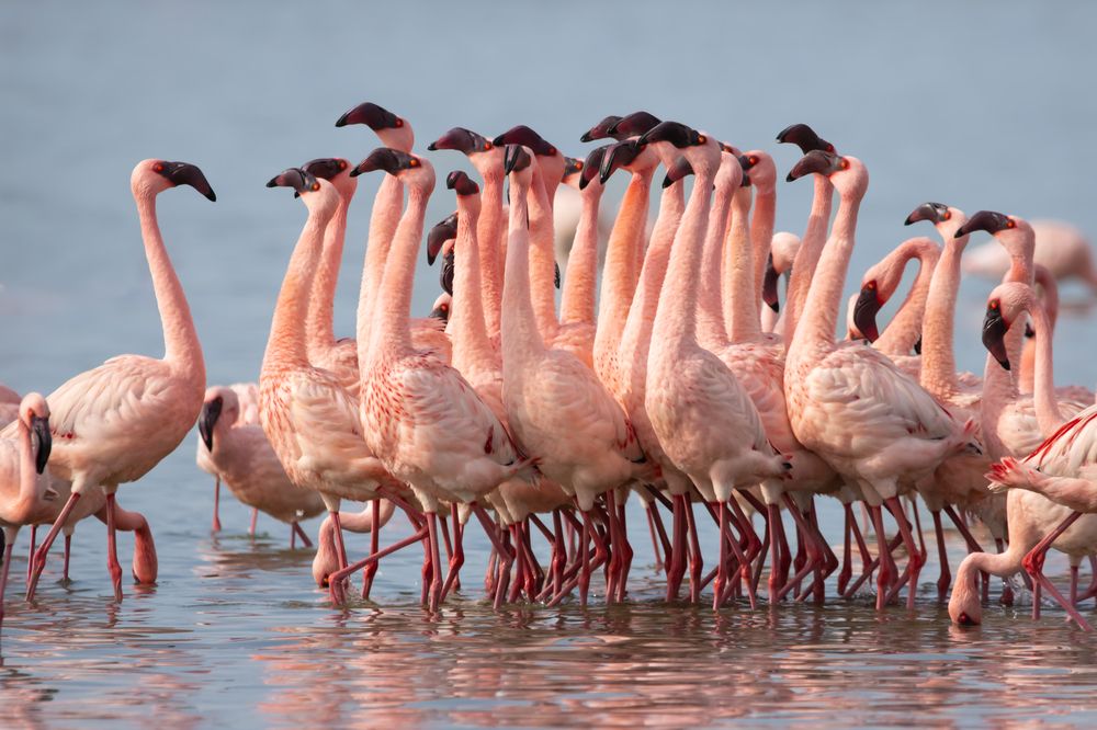 Photograph by Sugha Bapodara