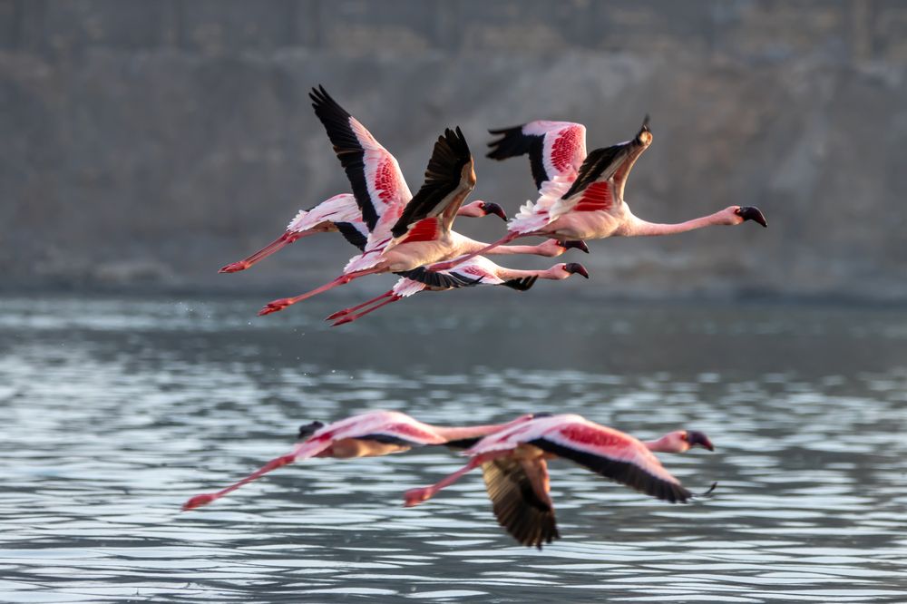 Photograph by Sugha Bapodara