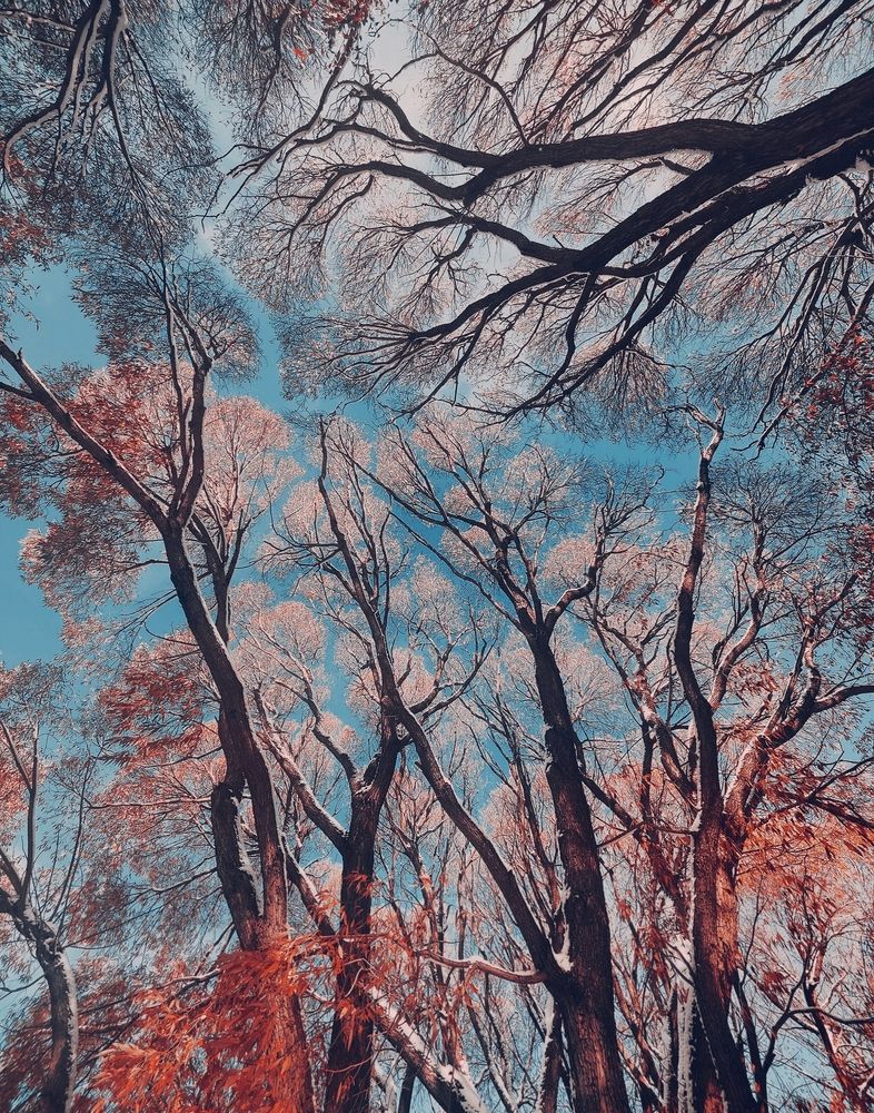 Photograph by Татьяна Гулакова