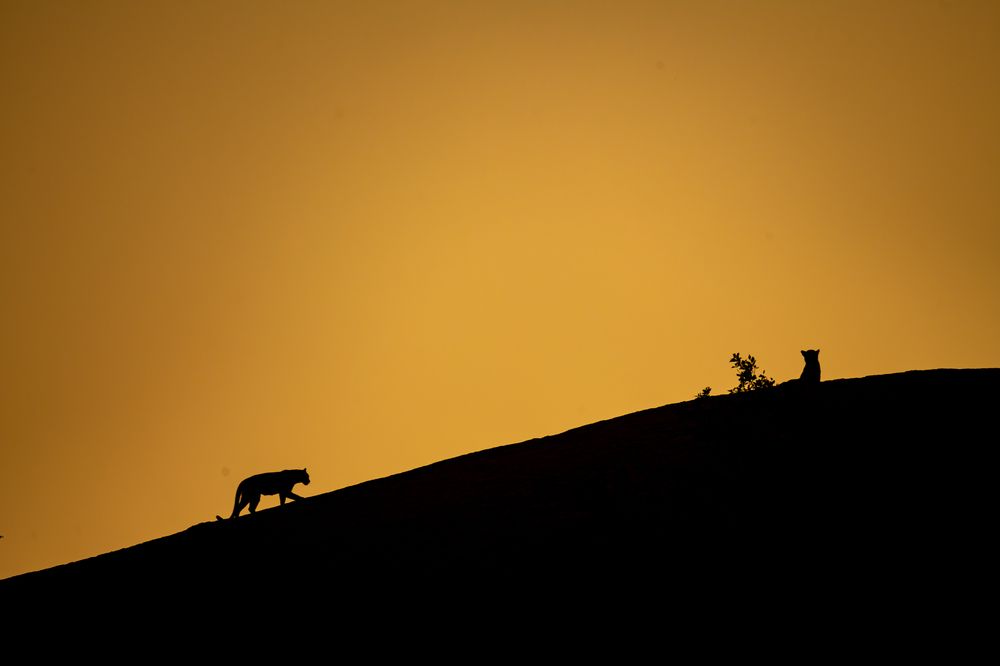 Photograph by Manoj Nair