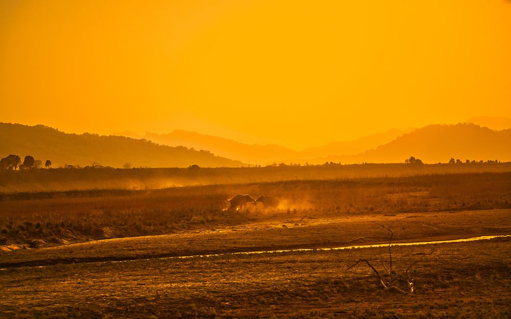 Photograph by Manoj Nair
