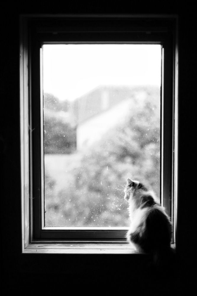 Photograph by Ирина Дроздова