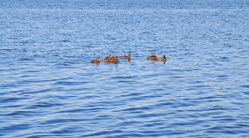 Photograph by БОРИС АНТОНОВ