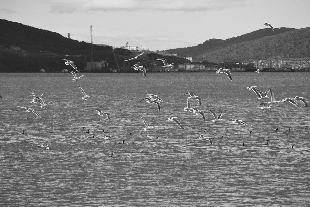 Photograph by Ения Семина