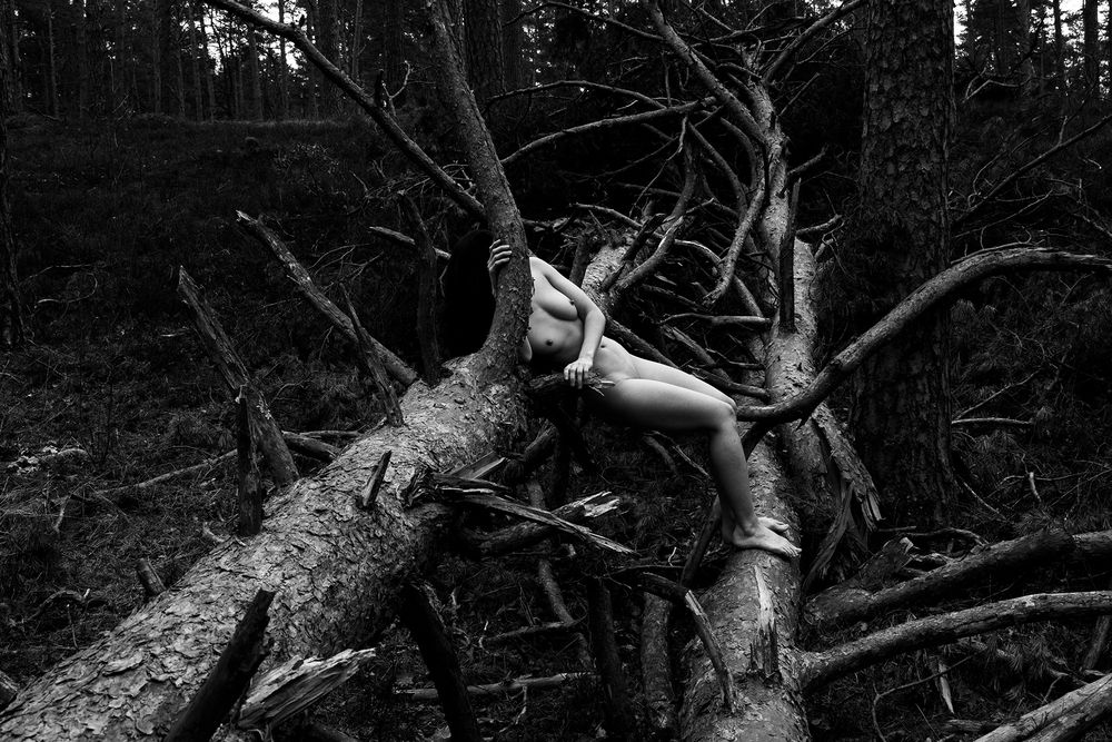 Photograph by Виктория смирнова