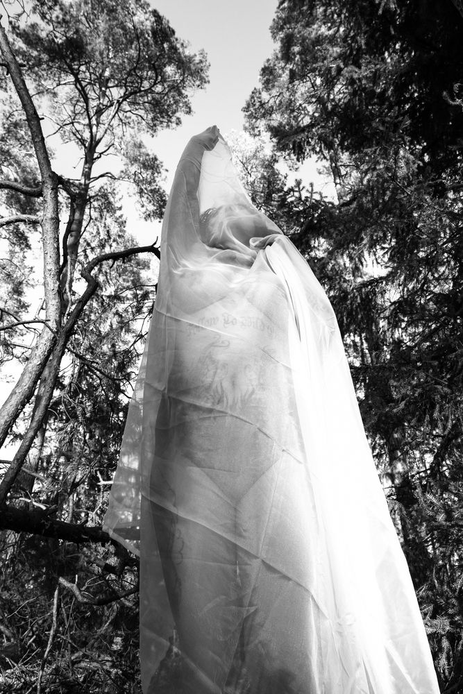 Photograph by Виктория смирнова