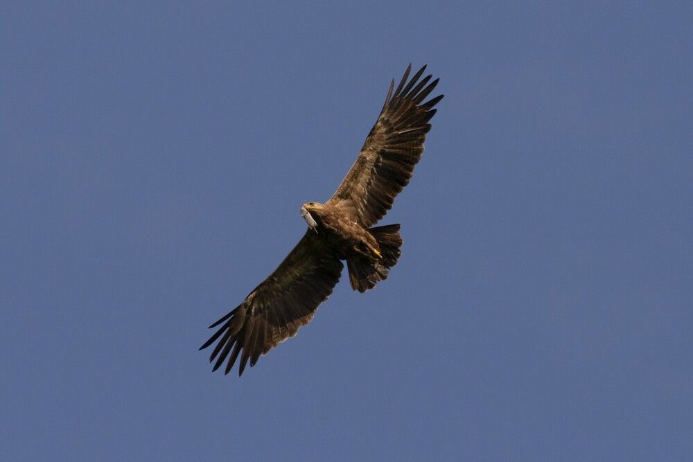 Photograph by Мария Долбич