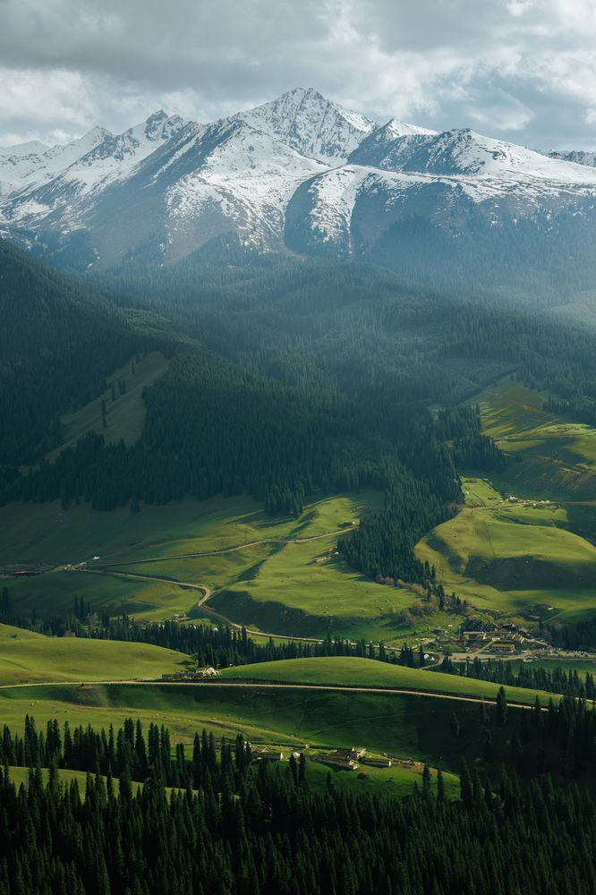 Where Snow Kisses Emerald