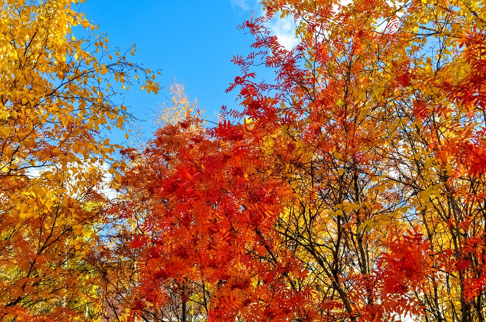 Photograph by БОРИС АНТОНОВ