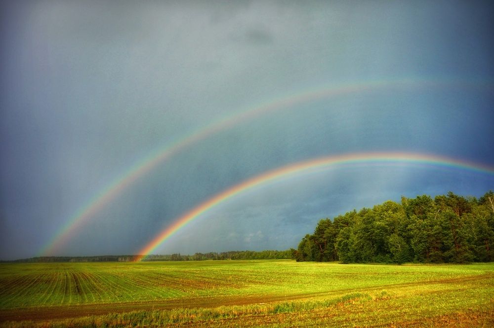 Photograph by Андрей Казаков