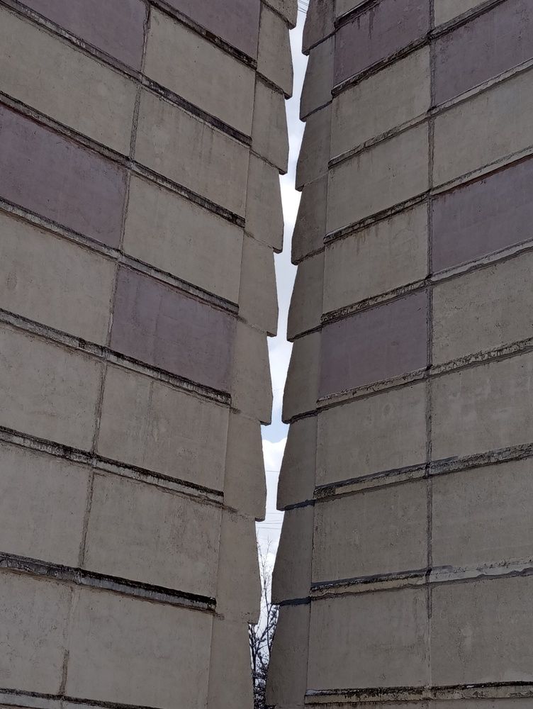 Photo #12338230