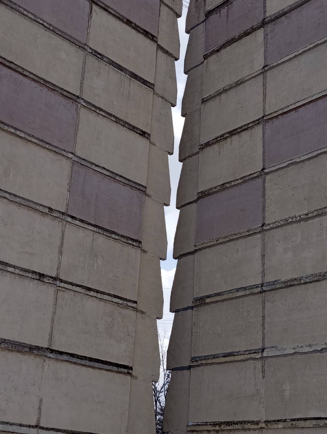 Photo #12338230