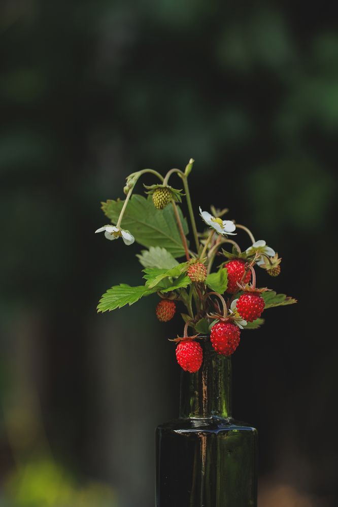 Photograph by Анна Ушакова