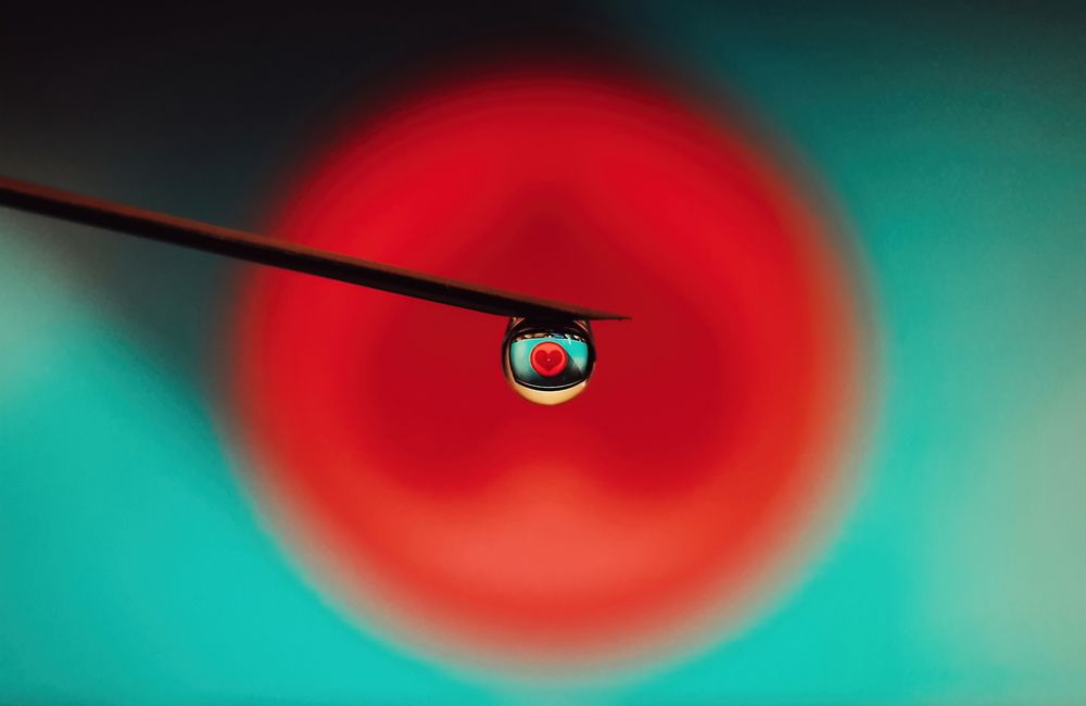 Photograph by Mahdi Reihani Bozorg