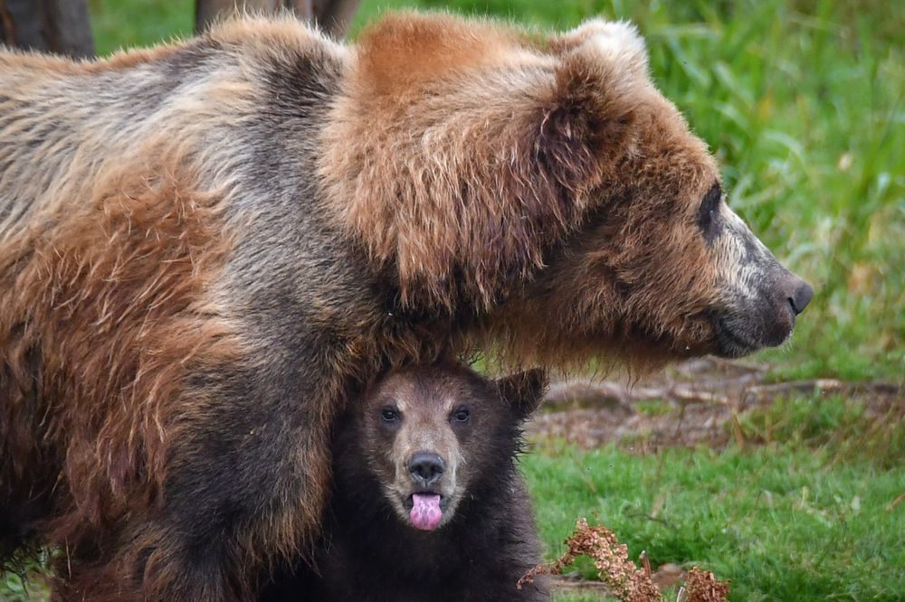 Photograph by Вячеслав Косенков