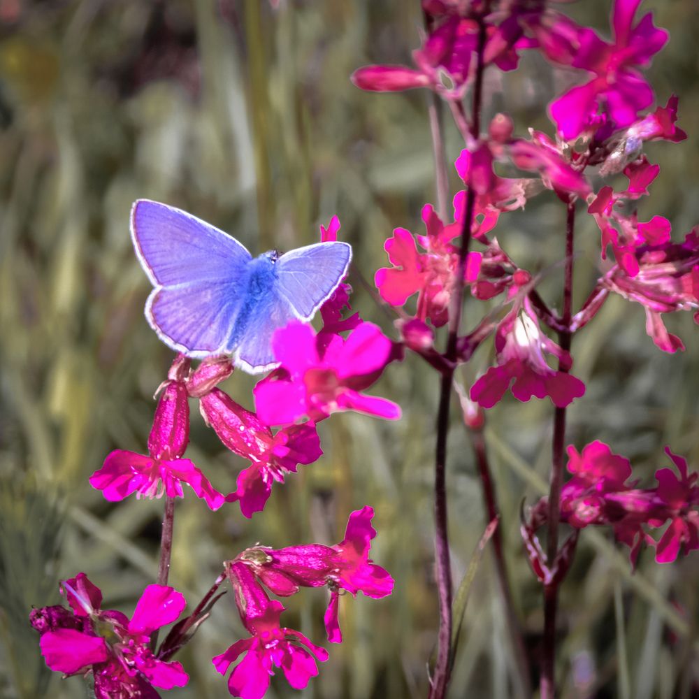Photograph by Татьяна Романова