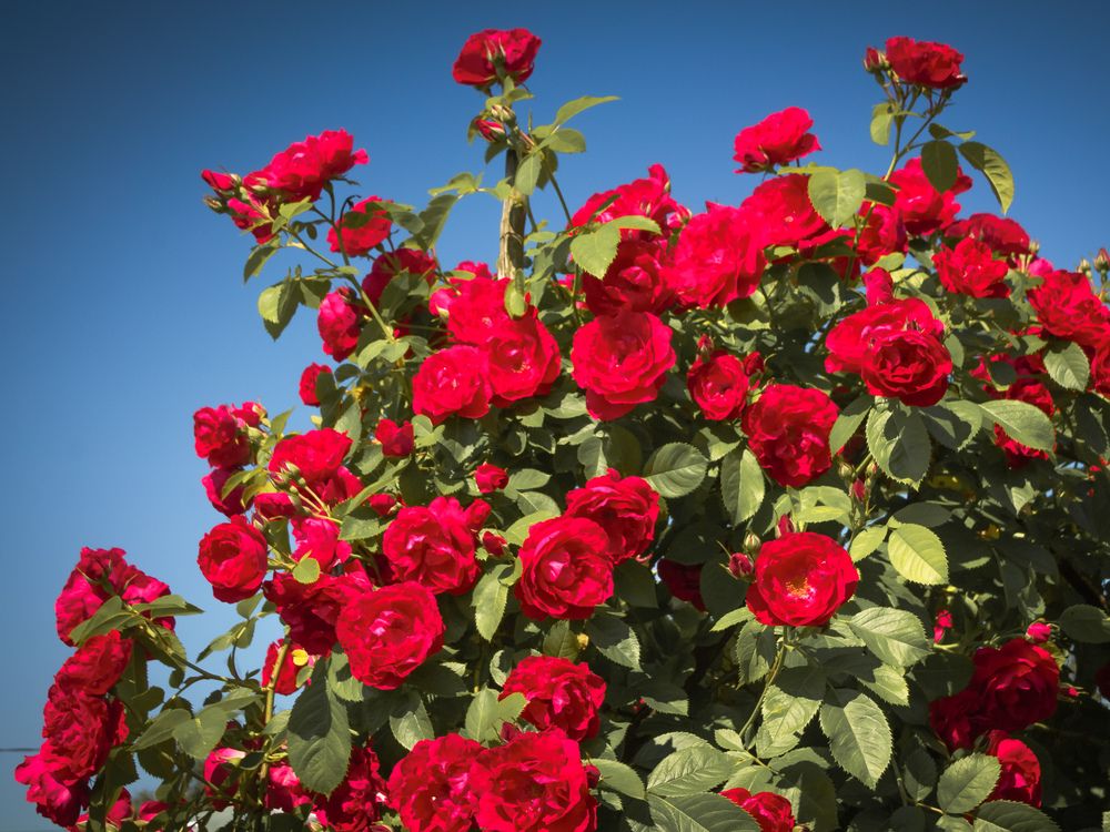 Photograph by Татьяна Романова