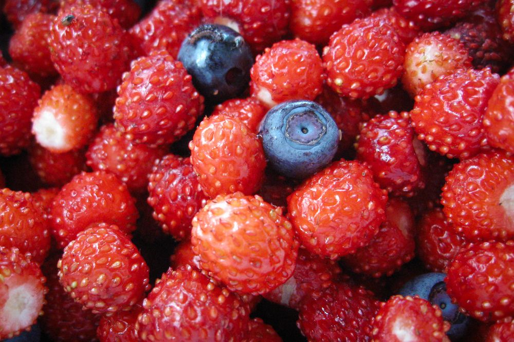 Photograph by Татьяна Романова