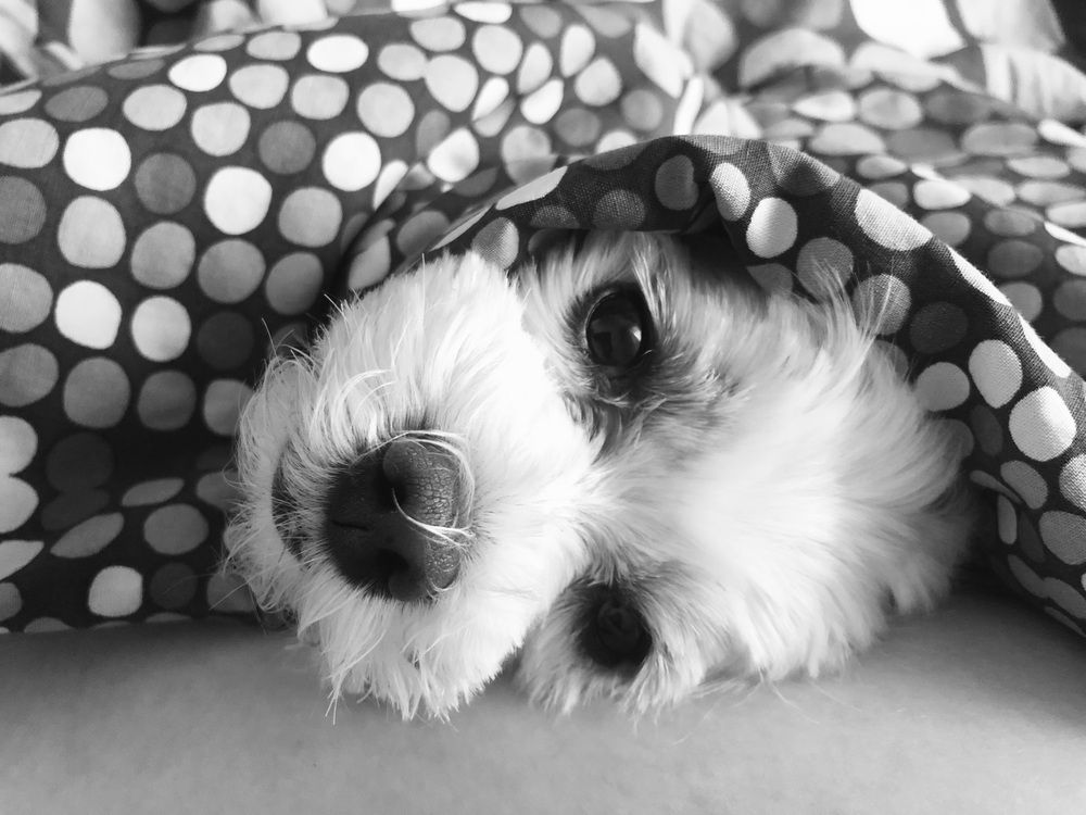 Photograph by Мария Пятова
