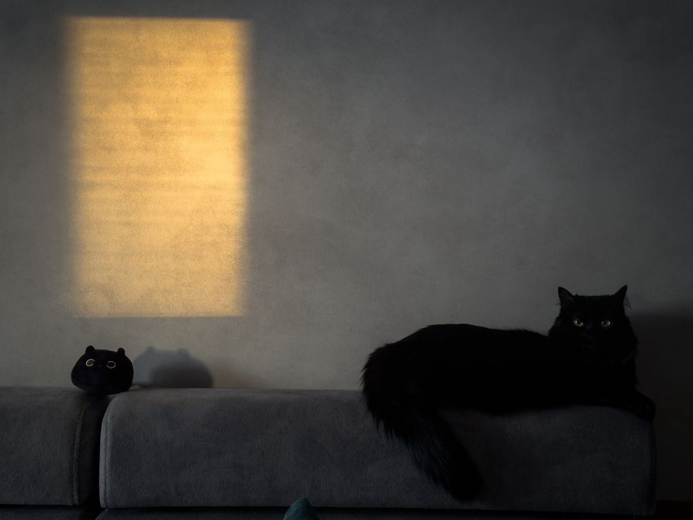 Photograph by Nina Narimanova