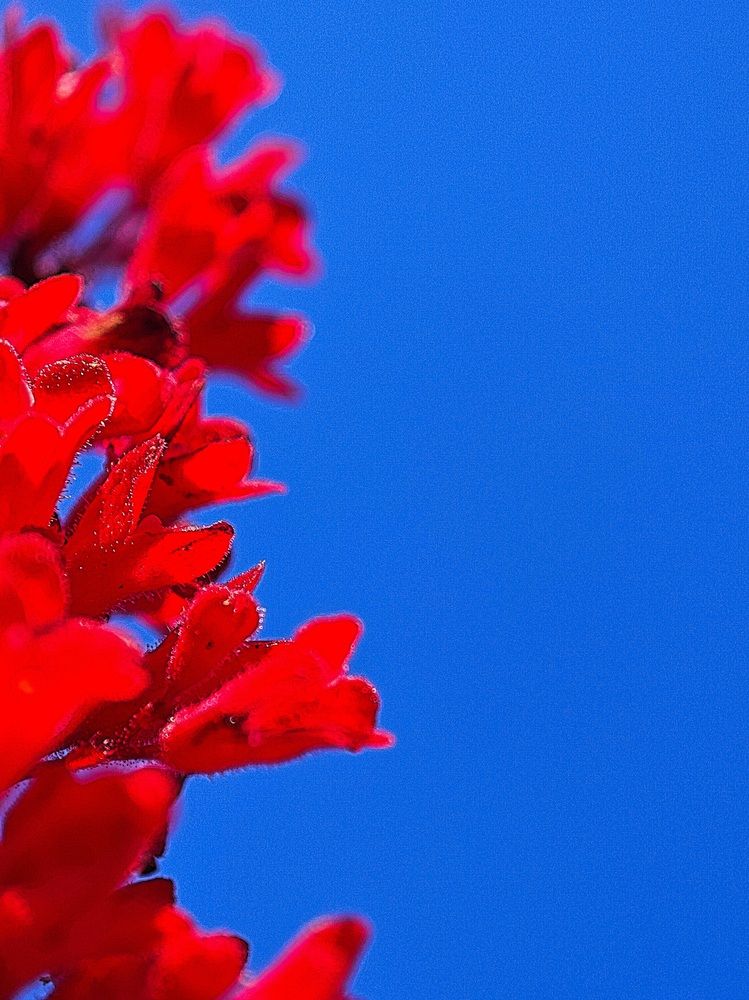 Photograph by Maryna Kukhtsikava