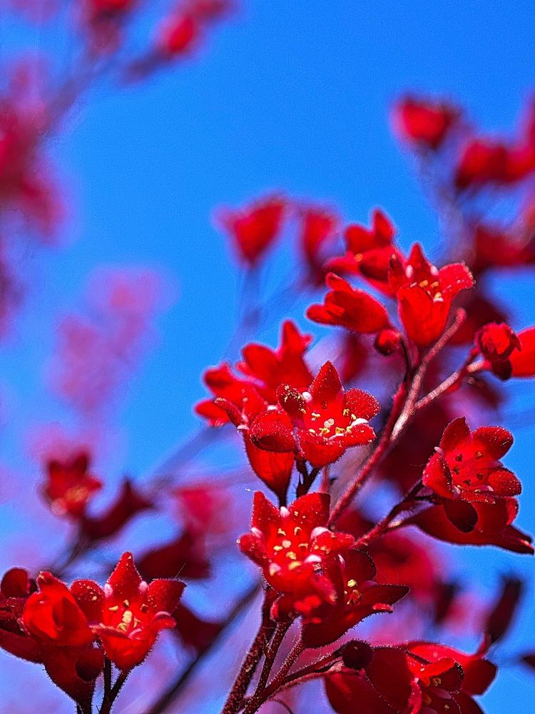 Photograph by Maryna Kukhtsikava