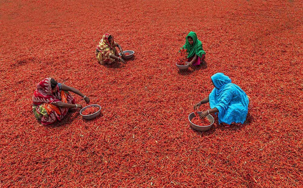 Photograph by Saumi Biswas