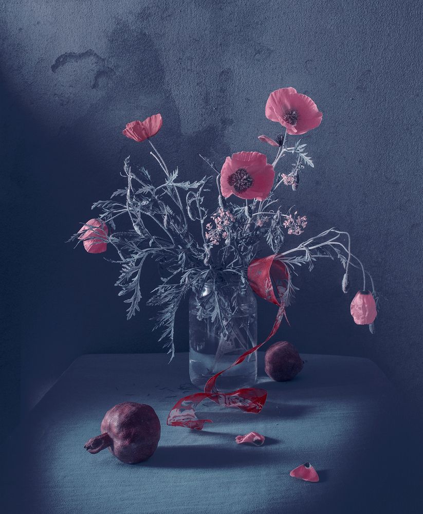 Photograph by Шипунова Ирина