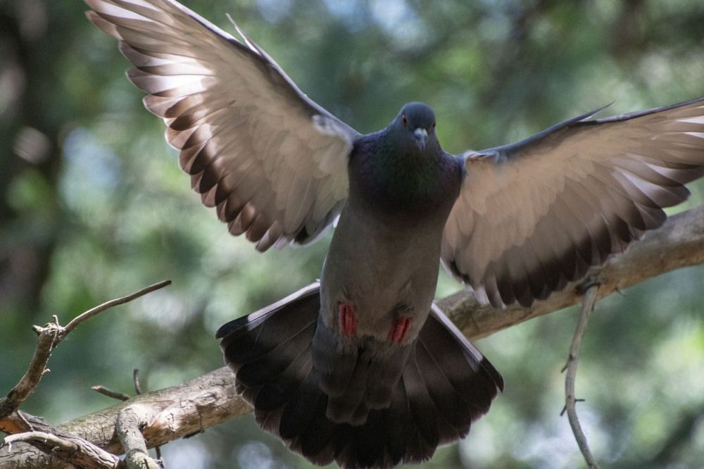 Photograph by Валерий Лунев