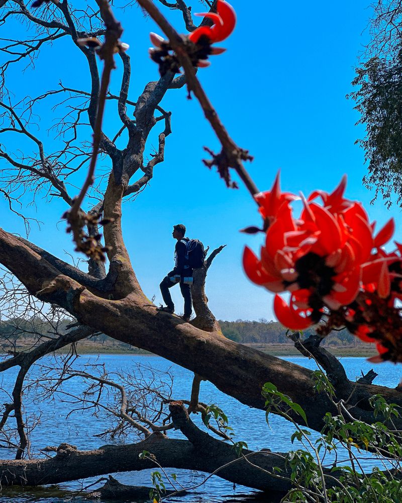 Photograph by Ashish Kalsarpe