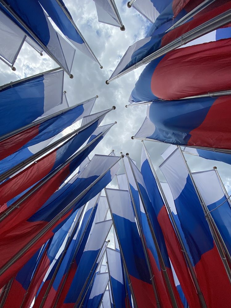 Фотография автора Елена Чарковская