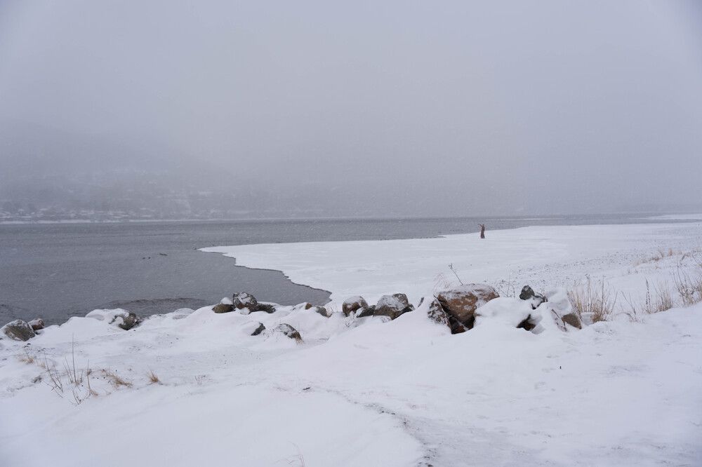 Photograph by Елена Николайчук