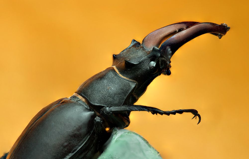 Фотография автора Lubov Maslova